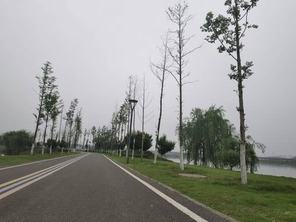 图1：骑行小道 - 副本.jpg