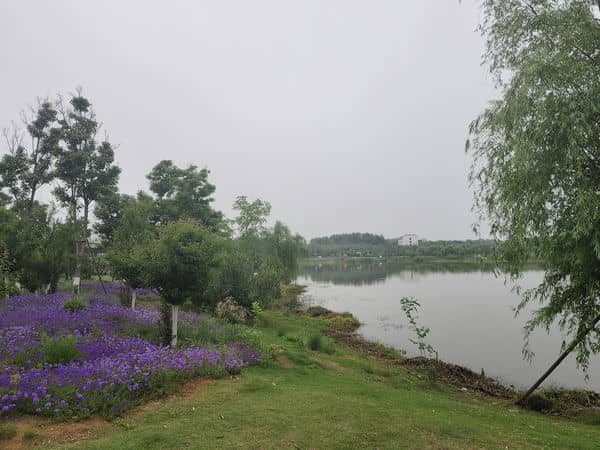 图2：湖边风景 - 副本.jpg